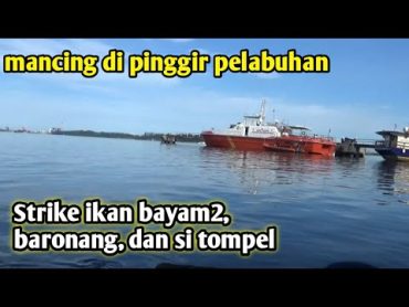 Mancing di pinggir laut tarikan nya mantap strike baronang/merang2 ,bayam2