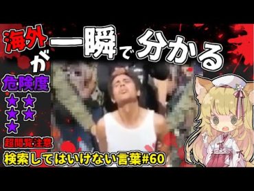 【閲覧注意】検索してはいけない言葉を怖がりが調べてみる！Part60【ゆっくり実況】【ゆっくり解説】～海外が一瞬で分かる～