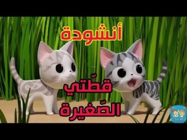 أنشودة قطتي الصغيرة واسمها نميرة