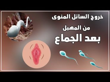 اسباب خروج السائل المنوي من المهبل  بعد الجماع