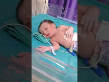 This Curious Baby❤️ shorts lovemoment babybirth motherhood pregnancy viral