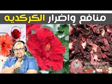 منافع وأضرار الكركديه الصحية مع الدكتور عماد ميزاب imad mizab