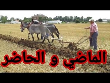 الفلاحة في اسبانيا بين الماضي و الحاضر