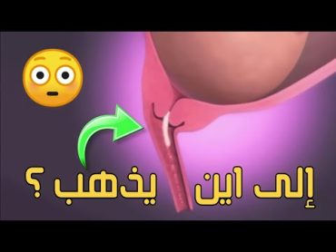 اين يذهب السائل المنوي في المرأه الحامل  وبماذا يشعر الجنين وقت الجماع