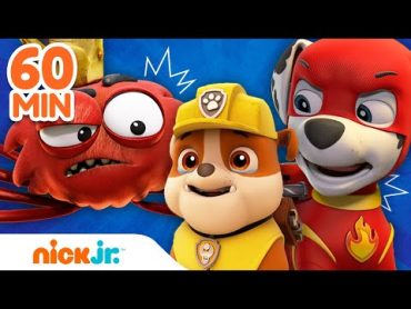 دوريات المخلاب  عمليات إنقاذ فرقة دوريات المخلاب الأضخم  Nick Jr. Arabia