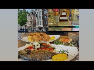 جولة قصيرة في منطقة باد قودسبارغ مدينة بون .أماكن تستحق الزيارة لا تفوتوها. .. Bonn/Bad Godesberg