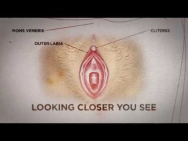 Can you see if a woman is a virgin? Here&39;s the truth  Nyheterna (TV4)