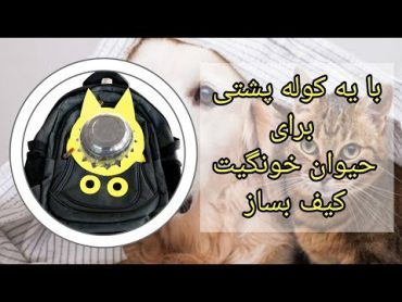 کوله پشتی خودت رو به همین راحتی تبدیل به کیف برای حیوان خونگیت کن