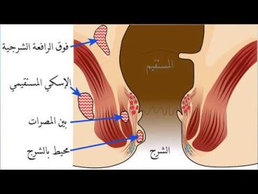 كيف تعرف ان الفتاة تمارس الجنس الشرجي الخلفي