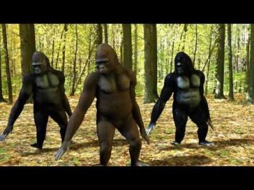 Ego  The Crazy Things We Do Official Music Video (Dancing Gorillas)