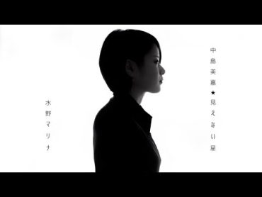 中島美嘉  見えない星 (Cover by 藤末樹/歌:水野マリナ)【フル/字幕/歌詞付】@acoustribe