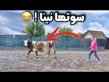 نينا سرقت البقرة للبستان 😂 و دجاج يأكل بيض ! 😱 فلوق المزرعة