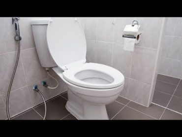 How To Fix a Leaking Toilet