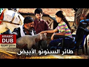 العصفور الصغير  فيلم تركي مدبلج للعربية