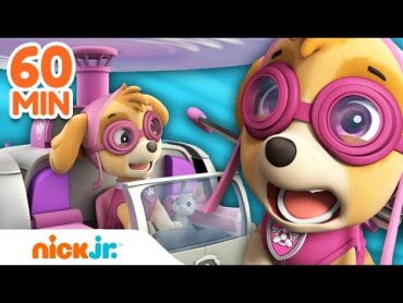 سكاب من دوريات المخلاب تحلق عاليًا مع مارشال وتيس  ستون دقيقة من المقاطع  Nick Jr. Arabia