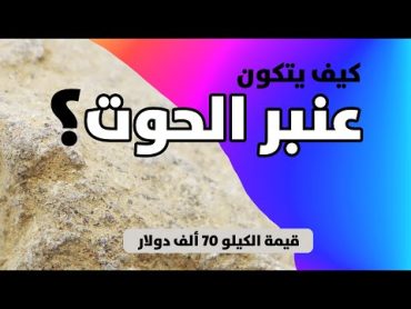 كيف يتكون عنبر الحوت؟