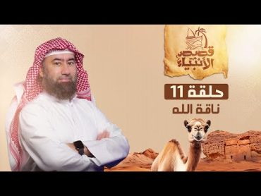 نبيل العوضي  قصة ناقة الله و كيف اهلك الله ثمود