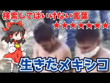 【閲覧注意】生きたメキシコ【検索してはいけない言葉】【NK】