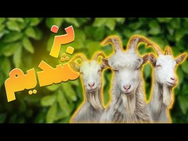 وقتی سه تا اوسکول بُز میشن 🤦‍♂️شبیه ساز بز Goat Simulator 3