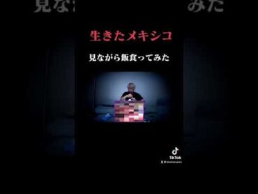 生きたメキシコ見ながら飯食ってみた