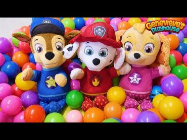 Paw Patrol Baby Pups Home Alone and get a New House Learning Videos for Kids!