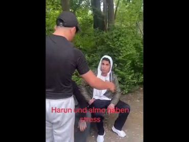 HARUN muss BESCHÜTZT WERDEN! shorts harun tiktok viral trending fy foryou fyp