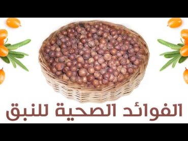 الفوائد الصحية للنبق ـ نبق السدر..فوائد النبق الرائعة لن تستغني عنه بعد معرفتك لها