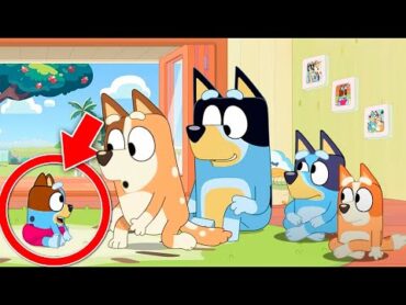 El nuevo hermanito de Bluey y Bingo en la Temporada 4?!