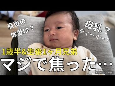 【年子兄弟育児】マジで焦った…体重は？母乳は？焦った出来事。