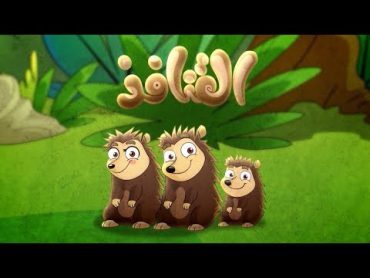 القنافذ  طيور بيبي Toyor Baby