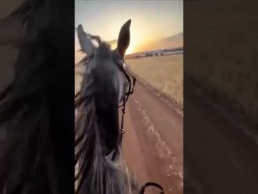 ‏﮼حِلوتي بدوية خَذت قلبّي وخَذتني💙🐎