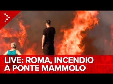 LIVE Roma, grosso incendio in zona Ponte Mammolo, evacuazioni in corso: diretta video