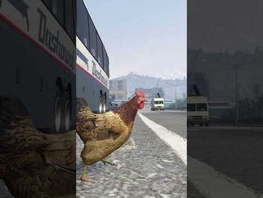 قراند 5 جاتا : انا دجاجة ليوم كامل  GTA V !! 🐔