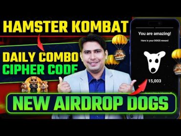 Hamster Kombat Daily Combo Today 17 July  Hamster Kombat Daily Cipher Today 17 July  Dogs Airdrop