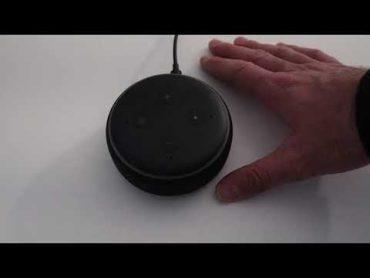 How To Reset Echo Dot