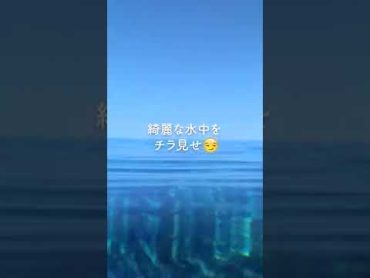 静かな水面は綺麗ですね✨ 沖縄 海 shorts