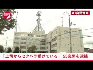 「上司からセクハラを受けている」仕事中なのに部下の20代女性にワイセツな行為をした上司の55歳男を逮捕…容疑を否認「同意があったと思っていた」