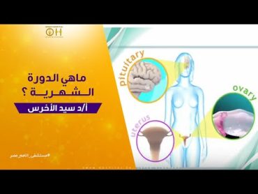 ماهي الدورة الشهرية ؟