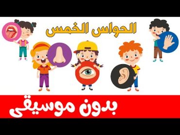 أنشودة الحواس الخمس بدون موسيقى   أنا إنسان لي إحساس