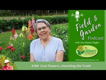 300: Cool Flowers, Unveiling the Truth