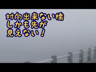 すごい霧で視界が💦