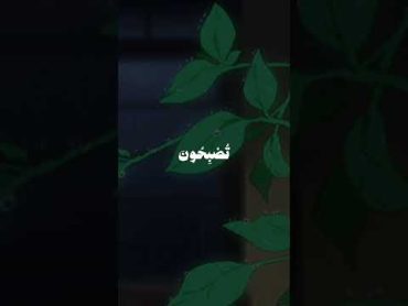 فَسُبْحَانَ اللَّهِ حِينَ  منشاوي القلوب ♥♥♥🦋. . . المنشاوي قران كريم قران سوره الروم