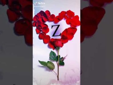 فديو على حرف ❤z❤