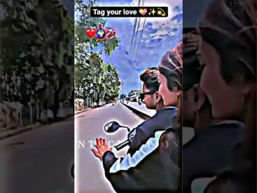 Cute Love Story Video ❤️New Sambalpuri Status Video 🌿Love Story 💞Ntr Creation