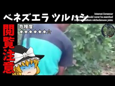 【ゆっくり実況】ベネズエラ ツルハシ【検索してはいけない言葉】