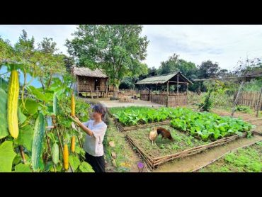 Full Video: 75 Days of farm life, Gardening, Farming, Cooking, Animal Care  Sơn Thôn