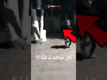 مقاطع غريبة رصدتها كاميرات المراقبة صدفة لن تصدقها شاهد بسرعة 😨!!!