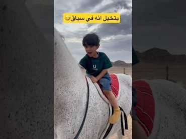 يتخيل انه في سباق🤣🐎 اكسبلور الخليج خيل happy اللعب الخيل حصان الجديد ترند