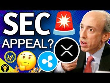 🚨WARNING! SEC to Appeal Ripple XRP Case Ruling? with Fred Rispoli