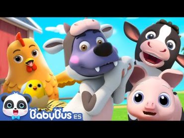 Canción de Granja  Canciones Infantiles  Videos para Niños  BabyBus en Español